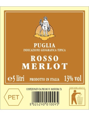 P.e.t. 5 Lt Vino Igp Puglia...